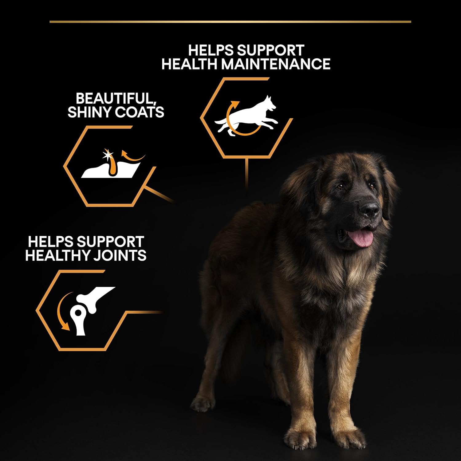 PRO PLAN Large Robust Adult Everyday Nutrition Chicken Dry Dog Food 14kg