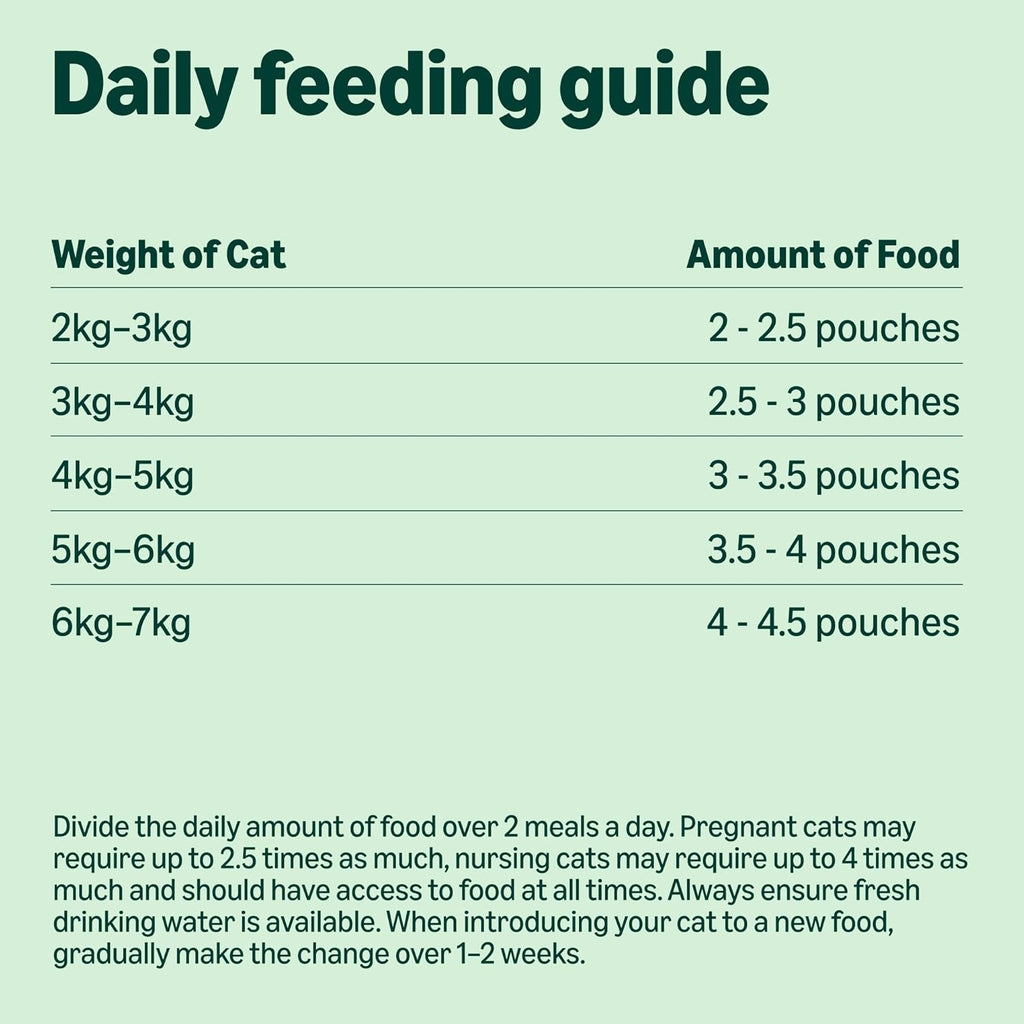 Grain-Free Complete Wet Food for Adult Cats, Mixed Selection In Jelly, 4.8 kg (48 pouches of 100g)