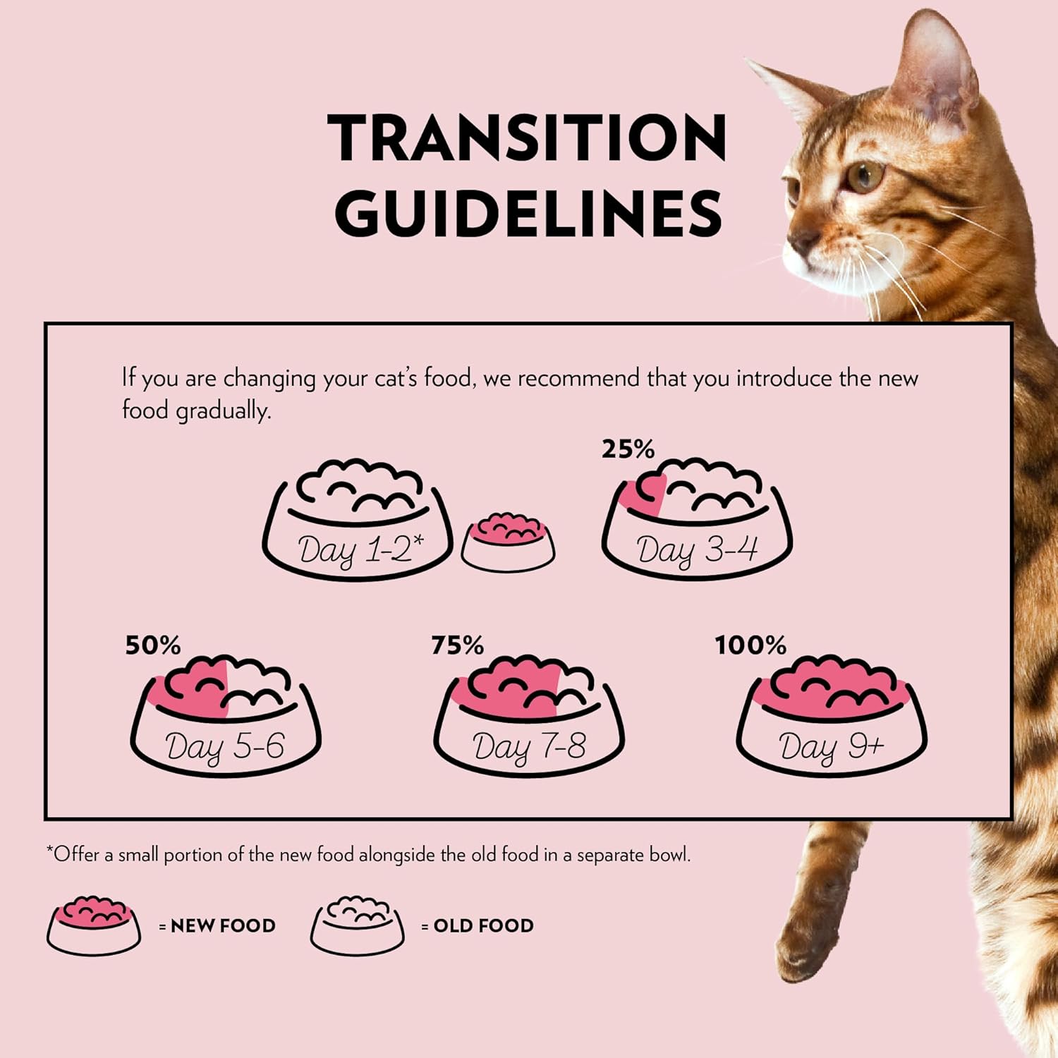 PrimaCat - Classic Complete Wet Cat Food, Salmon in Gravy Flavoured Cat Food, Sterilized, 28 pack of 85g- Amazon Exclusive