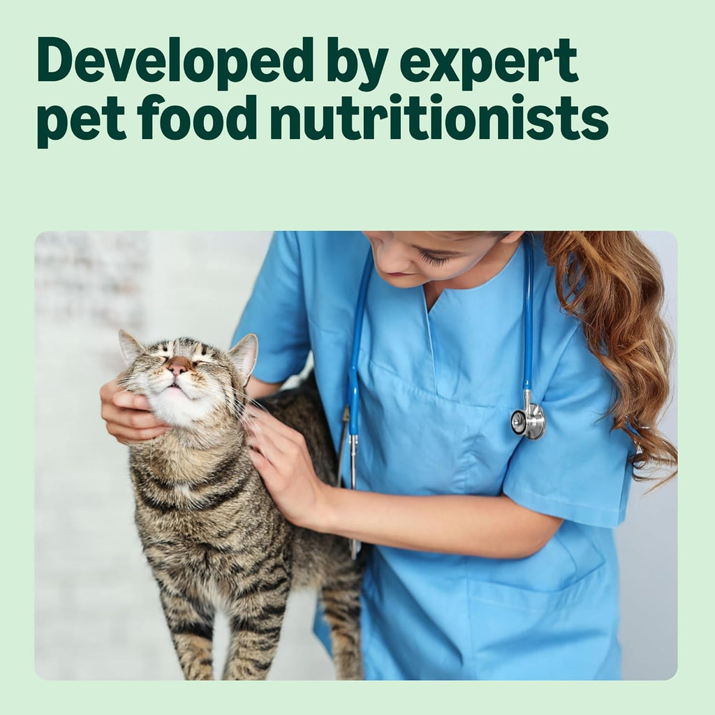 Grain-Free Complete Wet Food for Adult Cats, Mixed Selection In Jelly, 4.8 kg (48 pouches of 100g)