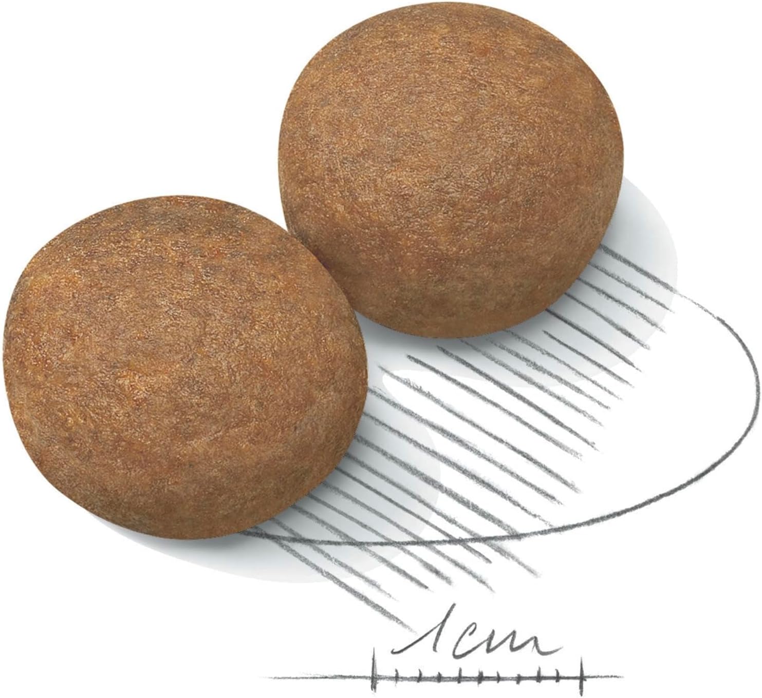 Royal Canin Dog Food -Maxi Adult -Dry Kibble for Large Breed Dogs (26-44KG) - Science Diet - Tailored Nutrition - 15kg