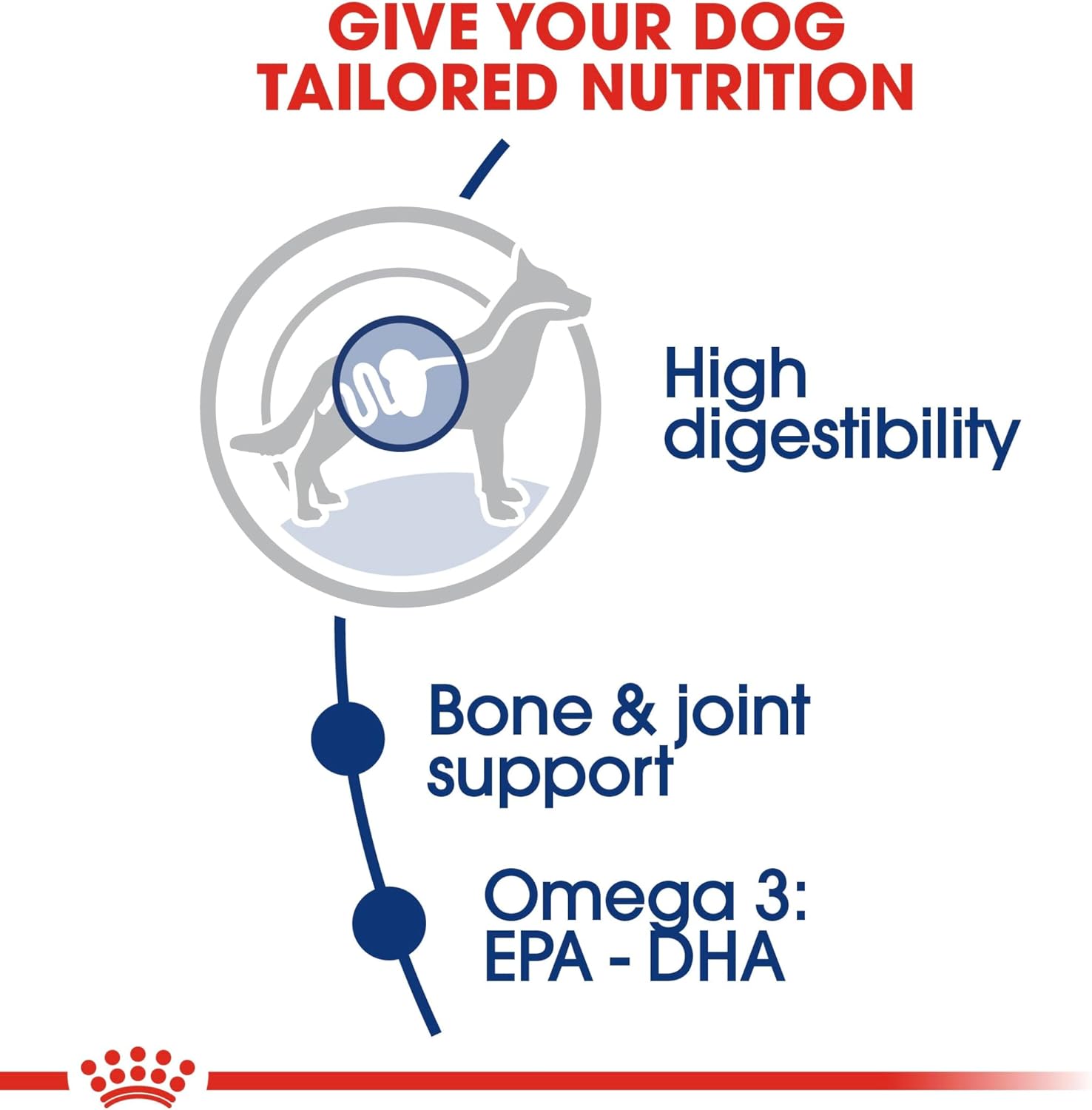 Royal Canin Dog Food -Maxi Adult -Dry Kibble for Large Breed Dogs (26-44KG) - Science Diet - Tailored Nutrition - 15kg