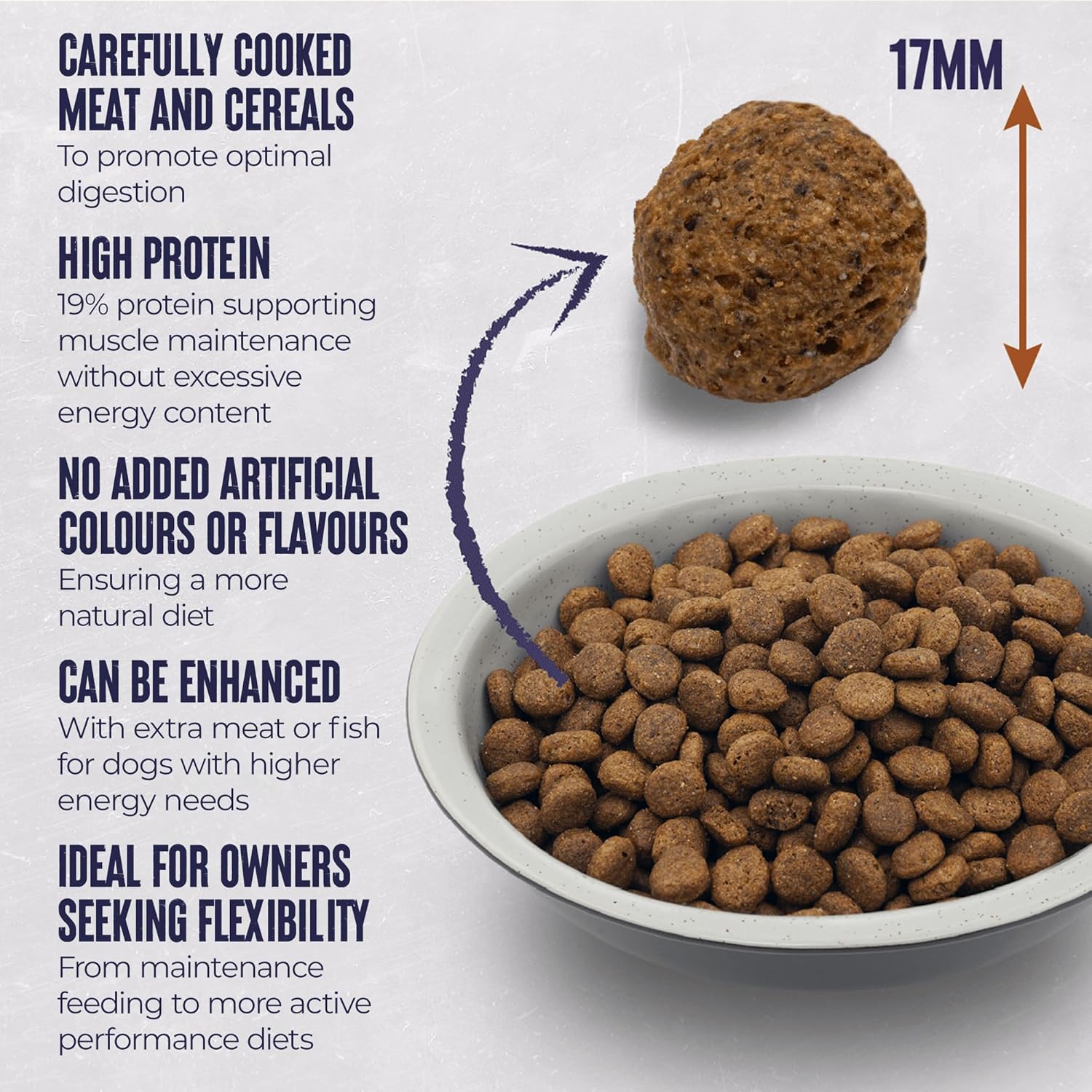 Alpha Adult Alpha Working Maintenance Dry Dog Food | Complete Nutrition for Older, Overweight or Less Active Dogs | British Beef, 15kg