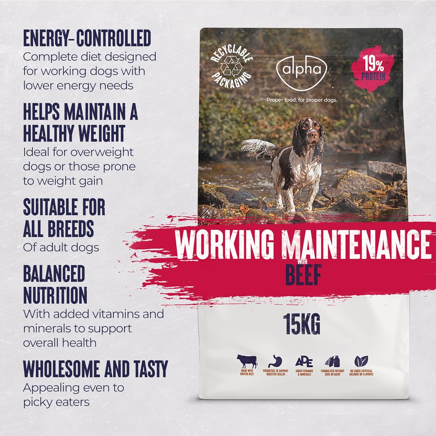 Alpha Adult Alpha Working Maintenance Dry Dog Food | Complete Nutrition for Older, Overweight or Less Active Dogs | British Beef, 15kg