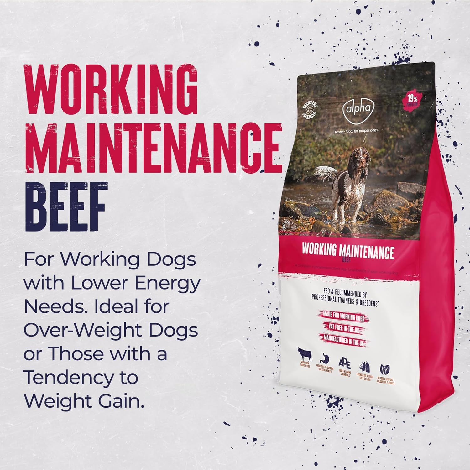 Alpha Adult Alpha Working Maintenance Dry Dog Food | Complete Nutrition for Older, Overweight or Less Active Dogs | British Beef, 15kg