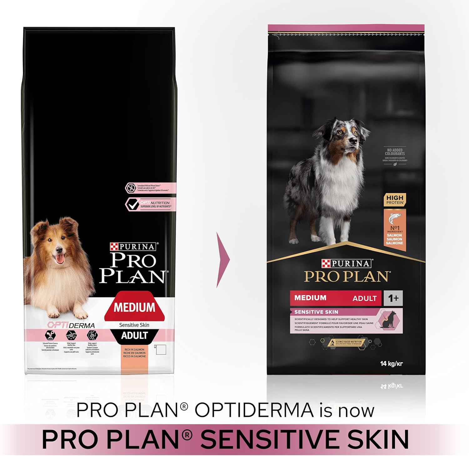 PRO PLAN Medium Sensitive Skin Adult 1+ Dry Dog Food Salmon 14kg Pack