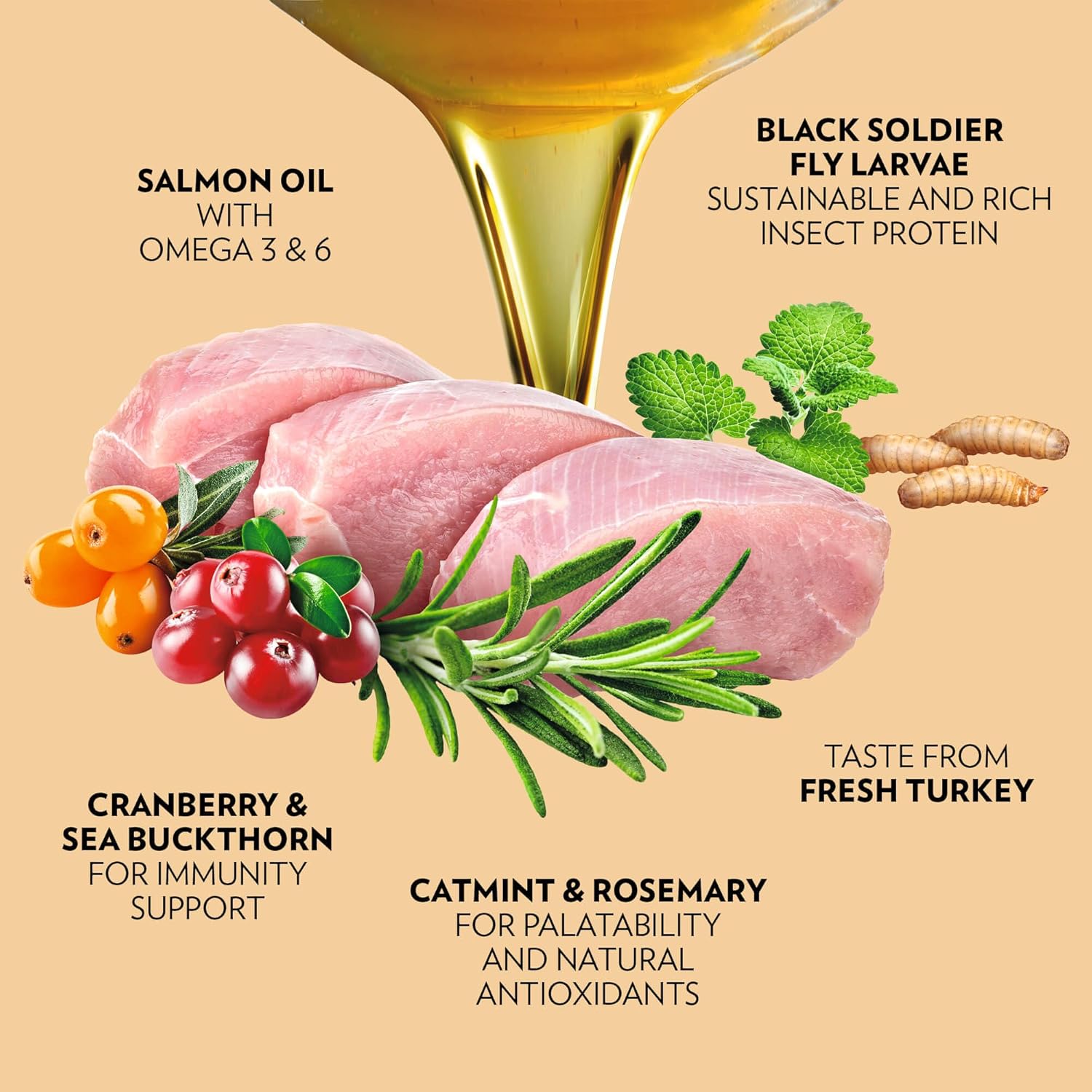 PrimaCat - Complete Dry Grain Free Turkey and Insect Flavoured Cat Food, Sterilised Adult Cat Food, 1.4kg - Amazon Exclusive